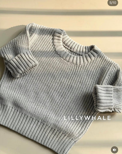 Baby Sweatshirts