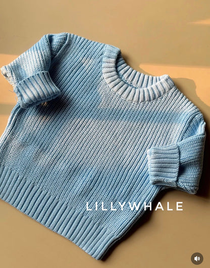 Baby Sweatshirts